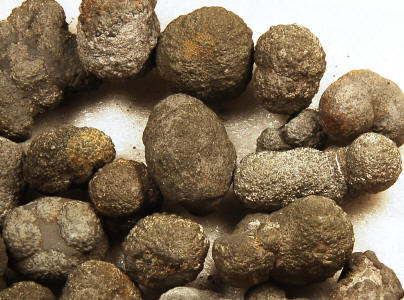 Marcasite nodules deals